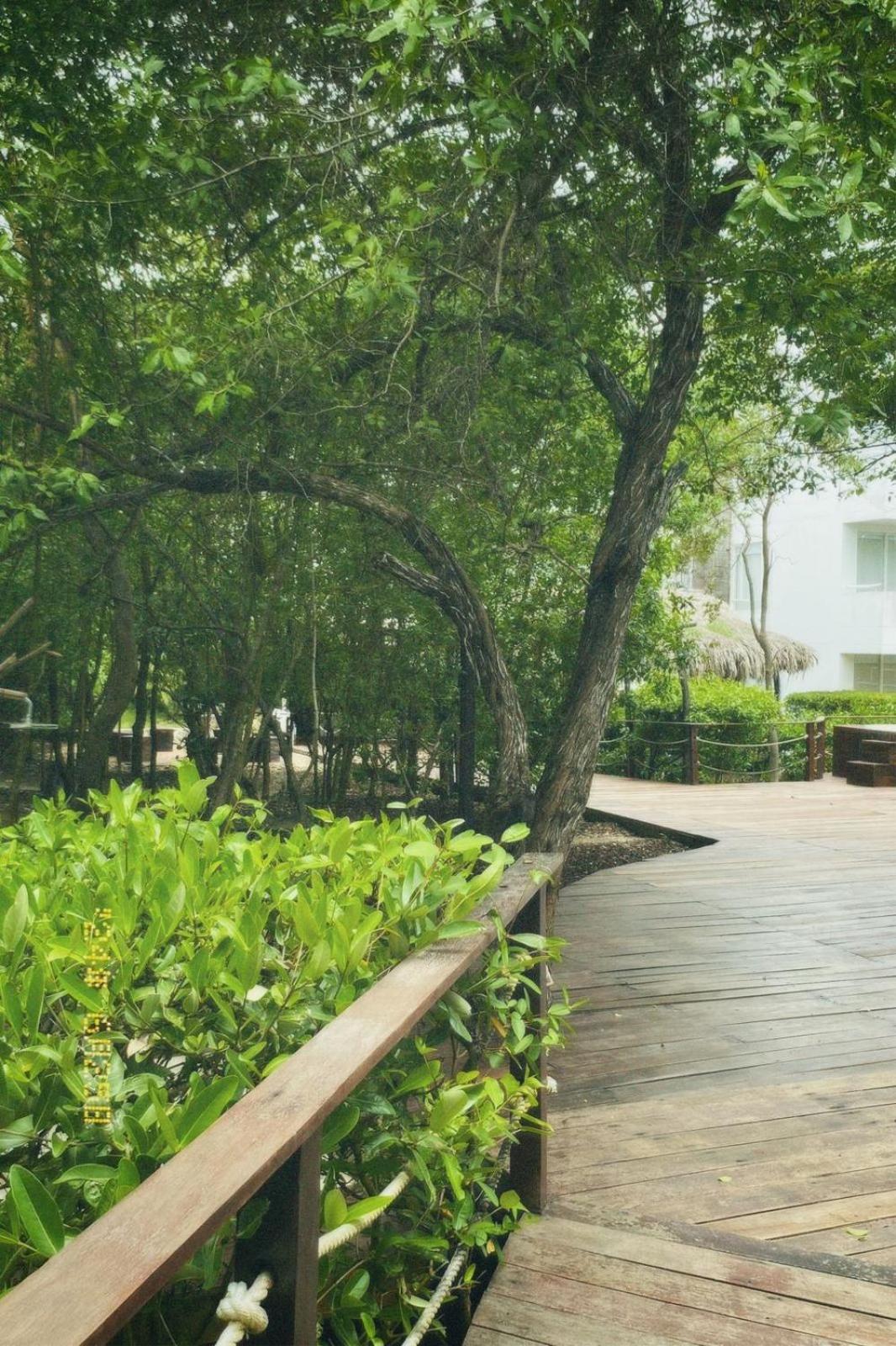 Santo Manglar Cartagena Life Wellness Spa Hotel Extérieur photo